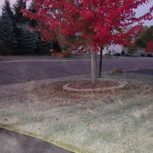 Frosty start at 30 degrees leaving home to go to Mora.