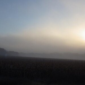Foggy ride through the St. Croix River Valley north of Stillwater along the river.