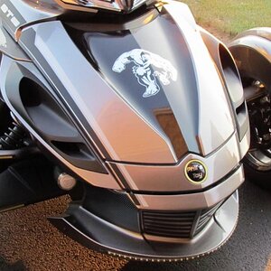 Another Front  View w Hulk decal