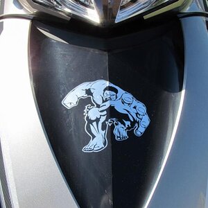 Frunk Inlay and Hulk Decal