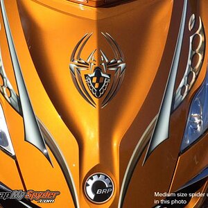 Boren spider frunk close decal