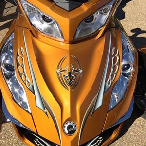 Boren spider decal frunk