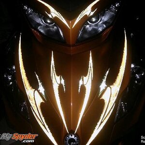 Sceptor Reflective Orange 11