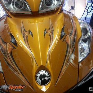 Sceptor Reflective Orange 3