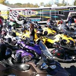 Ingles Performance Ryde in - 2013