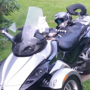 Home - Summer 2014 and I think Lilly the cat would like to go for a ryde.