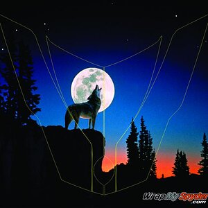 Wolf Cry Frunk wrap.  To order www.wrapmyspyder.com