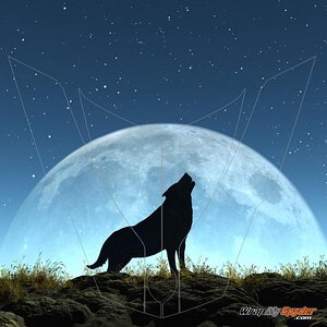 Wolf Moon Frunk wrap  To order www.wrapmyspyder.com