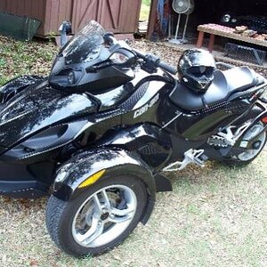 Spyder in yard 003 2