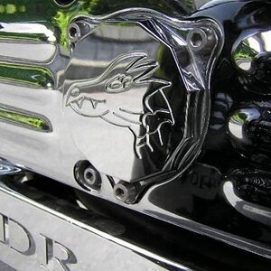 Custom Dragon timing covers.