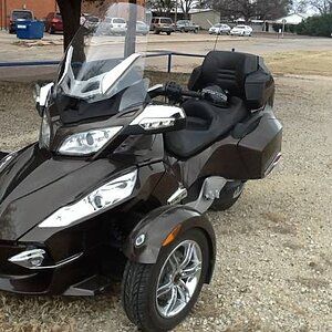 My Spyder All Spyders can bite you , But the brown ones are the worse , I had to take it home with me