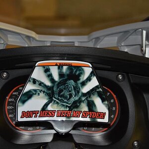 Don't Mess With My Spyder