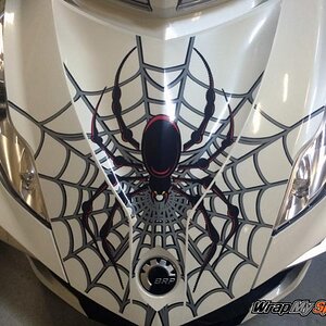 Woody Web Frunk kit produced on transparent film