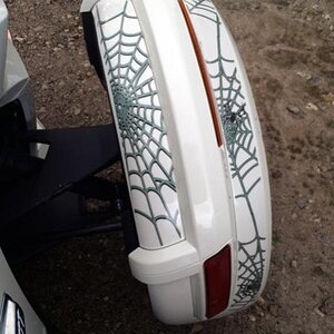 Woody Web new style fenders