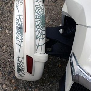 Woody Web new style fendres rear view