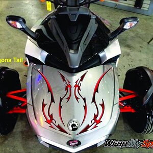 F3 Dragons Tail graphics kit