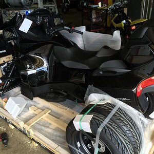 Born March 14 , 2015