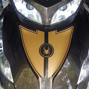 SergeB Spyder RT graphics kit using Ultra Metallic  Gold film