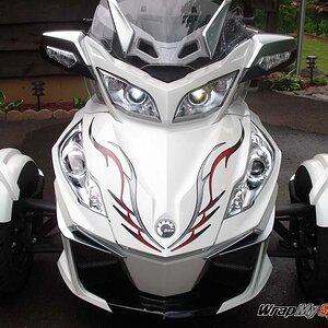 Barbwire 101 Red kit