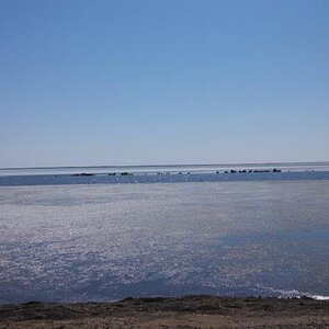 Ice on Lake Mille Lacs.....