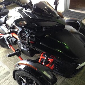 11160051 599873810115305 8166006173014430567 o