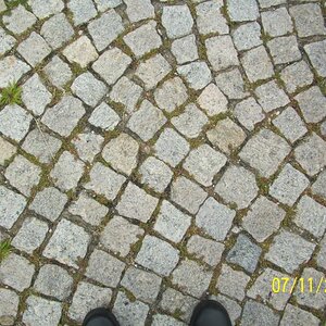 Design of bricks in drive/walkway.  VF, PA