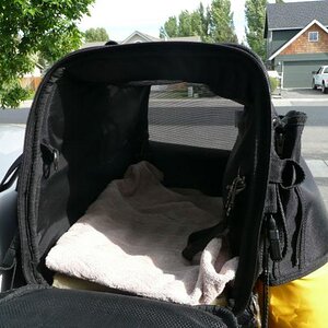 T Bags Pet Carrier no. 2