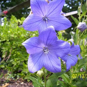 Flowers welcome you too.