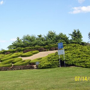 Best I could get.  Cape Code in green vegetation.