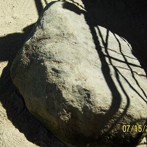 The ROCK! Plymouth rock.