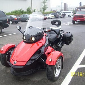 A damp sypder in Fredericton, New Brunswick.