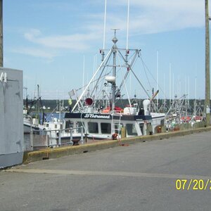 D'entremont boat on Dennis Point wharf. Something like the larges commercial fleet wharf left in ? will have to look it up when I have more time.