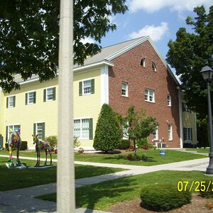 Mother and child moose.