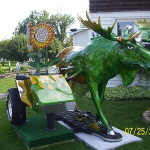 Moosefest 2009