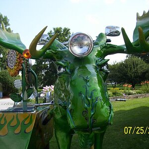 Finally spotted a moose.