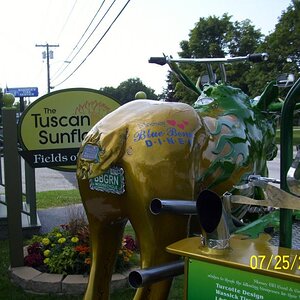 Different businesses contributed various items. This is the end of the tale.