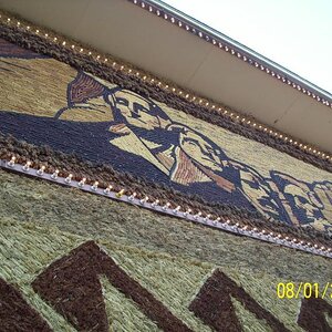 Those are ears of corn, shocks, and rushes or such that make up the designs.