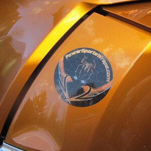 newest farkles on RTS SE6 COGNAC 010