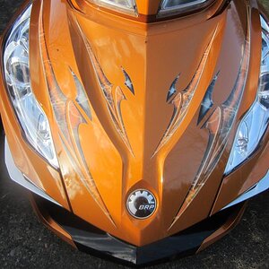 newest farkles on RTS SE6 COGNAC 008