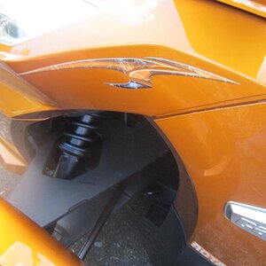 newest farkles on RTS SE6 COGNAC 007