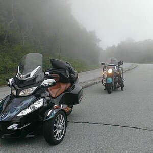 Mist in the mountains