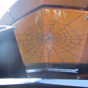 Spyder Farkles update 026