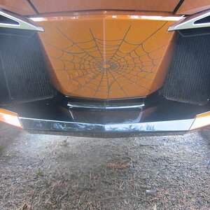 Spyder Farkles update 023