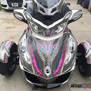 Feather Wings  RT kit