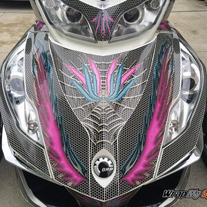 RT Feather Wings frunk