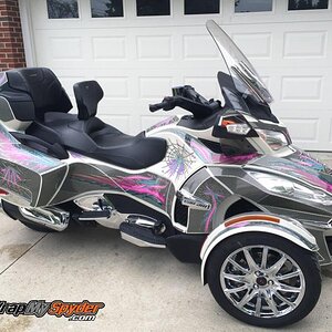 RT Feather Wings full body kit