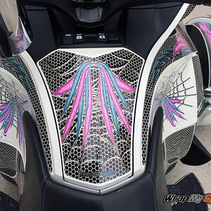 RT Feather Wings glove box