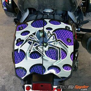 Punch Purple  rr fender