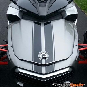 F3 GT Racing stripes  glossy Black