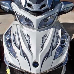 Cosmos Gray tone graphics kit by WrapMySpyder.com